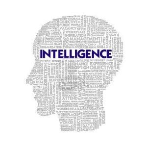 SO102EM_LE_4.1_single-minded_intelligence