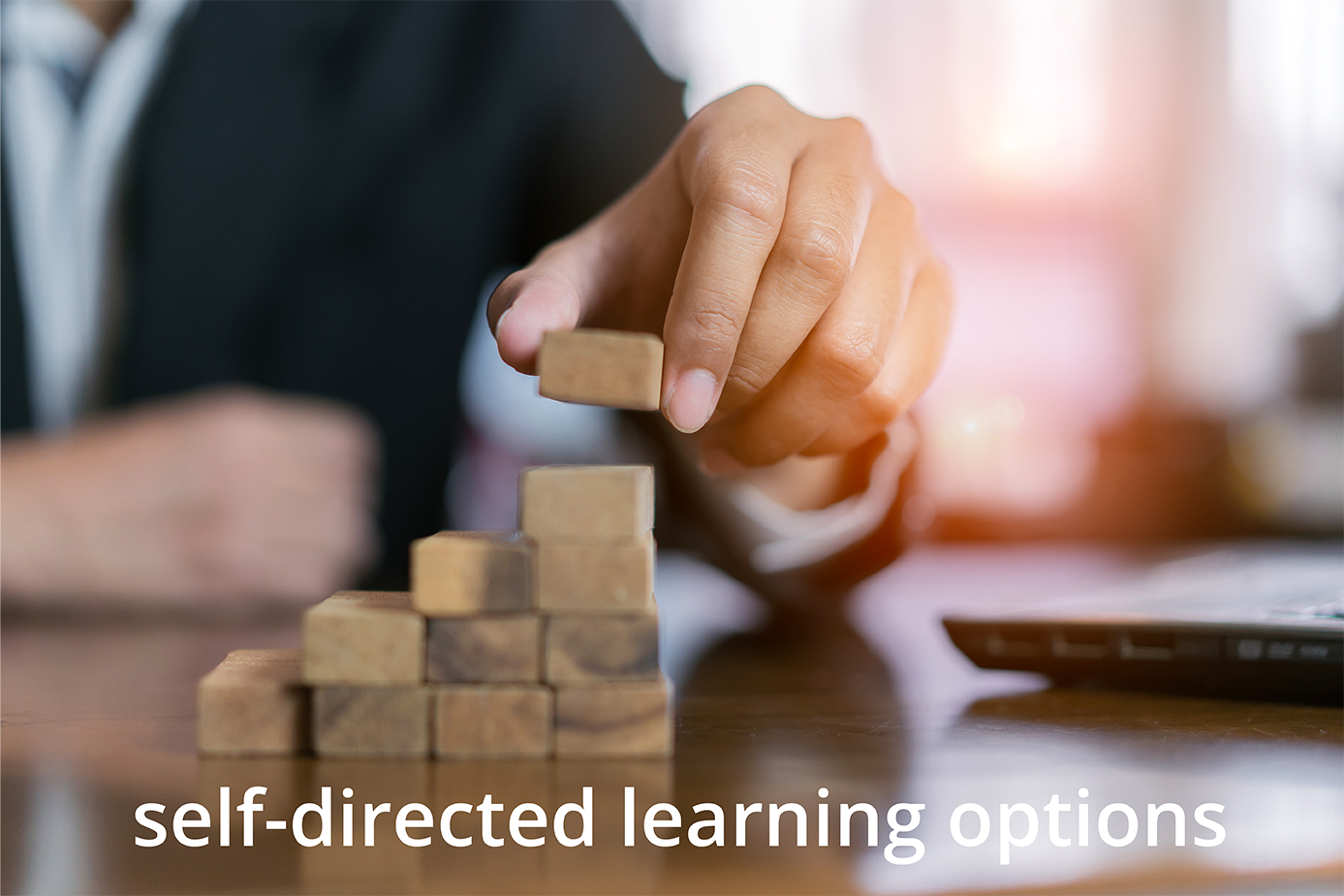 self-directed-learning-options-01